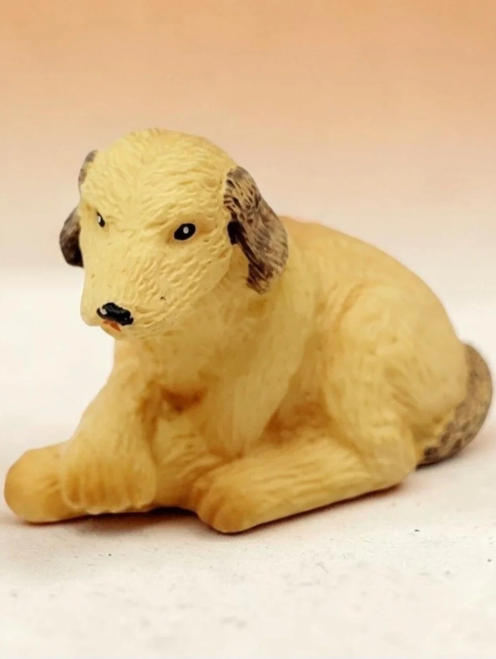 Spaniel Retriever 1